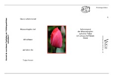 Vario-Fruehlings-Elfchen4.pdf